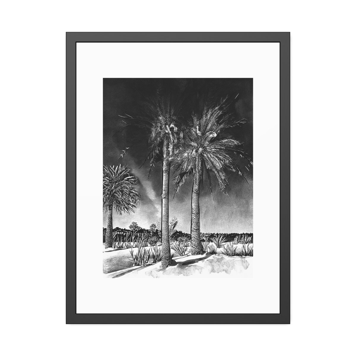 Framed black and white art print of palm trees in Fuerteventura, Canary Islands